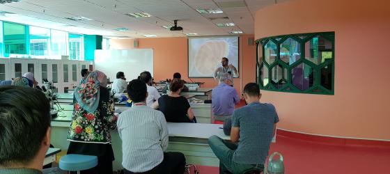 teaching